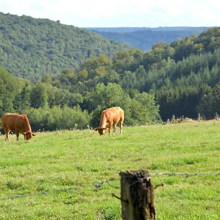 Cozy Holiday In Gros Fays With Terrace Holiday home *